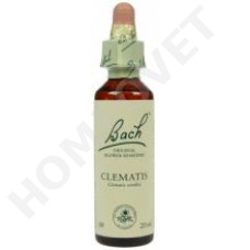 Bach Flower Remedies for Animals - Clematis
