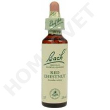 Bach Flower Remedies for Animals - Red Chestnut