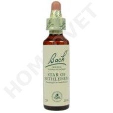 Bach Flower Remedies for Animals - Star of Bethlehem