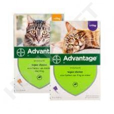 Advantage spot on against fleas in cats