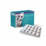 CVET NutriCareVet Stress Support Tablets | Dog en Cat 