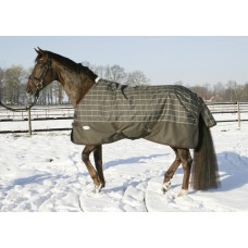 Thermo Turn-Out Rug Professional Light Everline