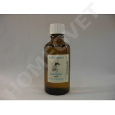 Essential Eucalyptus - Oil for problems in the respiratory tract
