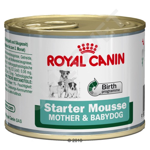 royal canin starter mousse