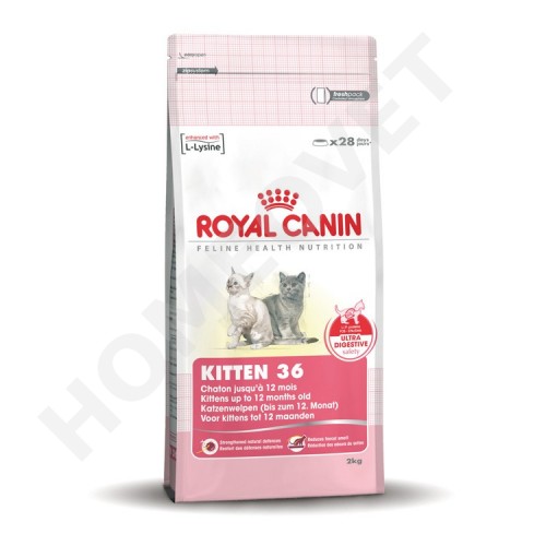 royal canin 36