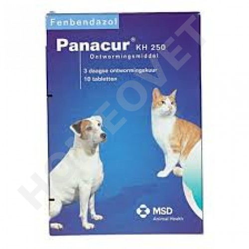 panacur kitten wormer