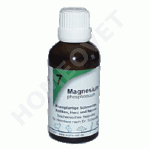 Magnesium Phosphoricum Pferd