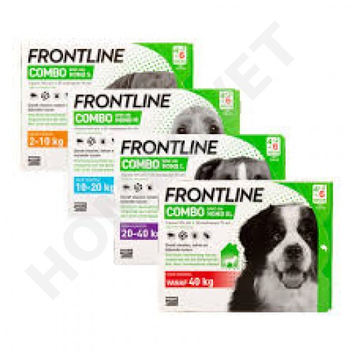 frontline combo puppy